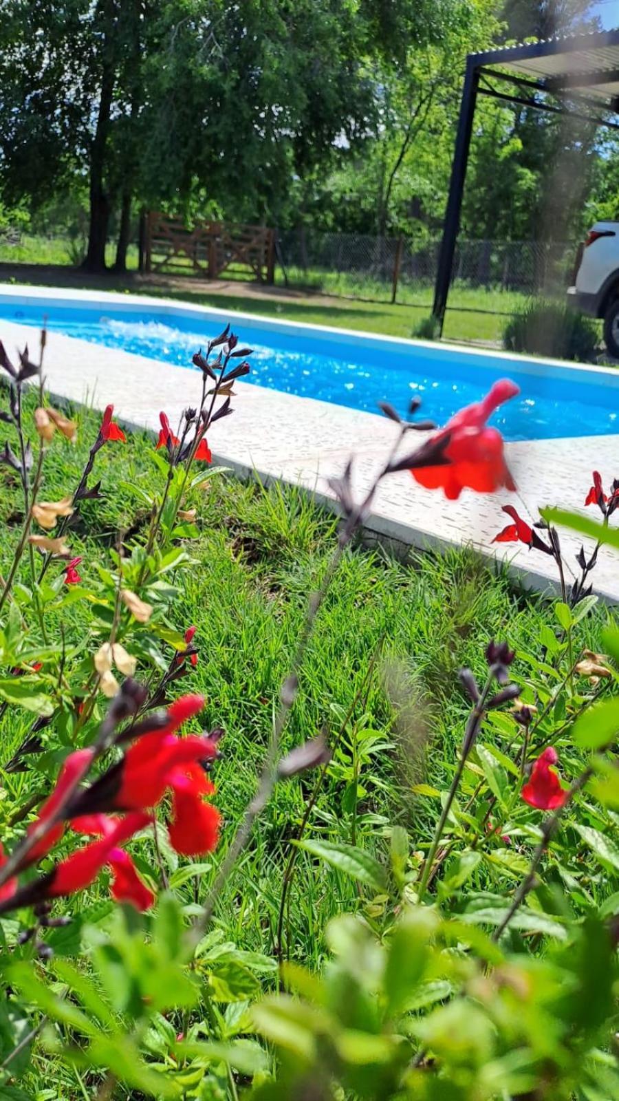 Holiday home Hada Del Champaqui - De Montana *